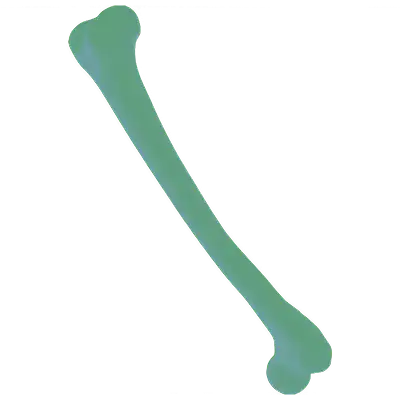 Bone Health icon