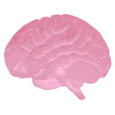 Brain and Nerve Health icon