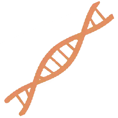 Cancer Risk and Detection icon