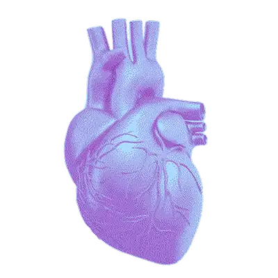 Heart Health icon
